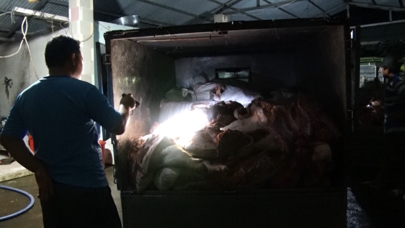 Phát hiện 2 xe tải chở gần 2 tấn thịt lợn bốc mùi hôi thối đi tiêu thụ